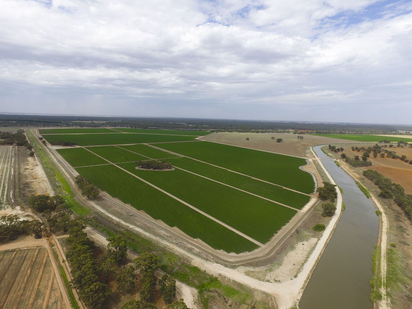 Irrigation Way, Yanco NSW 2703, Image 2