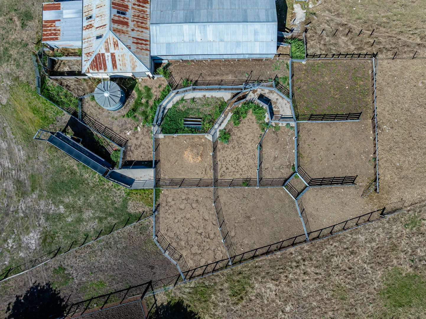 Image 64
