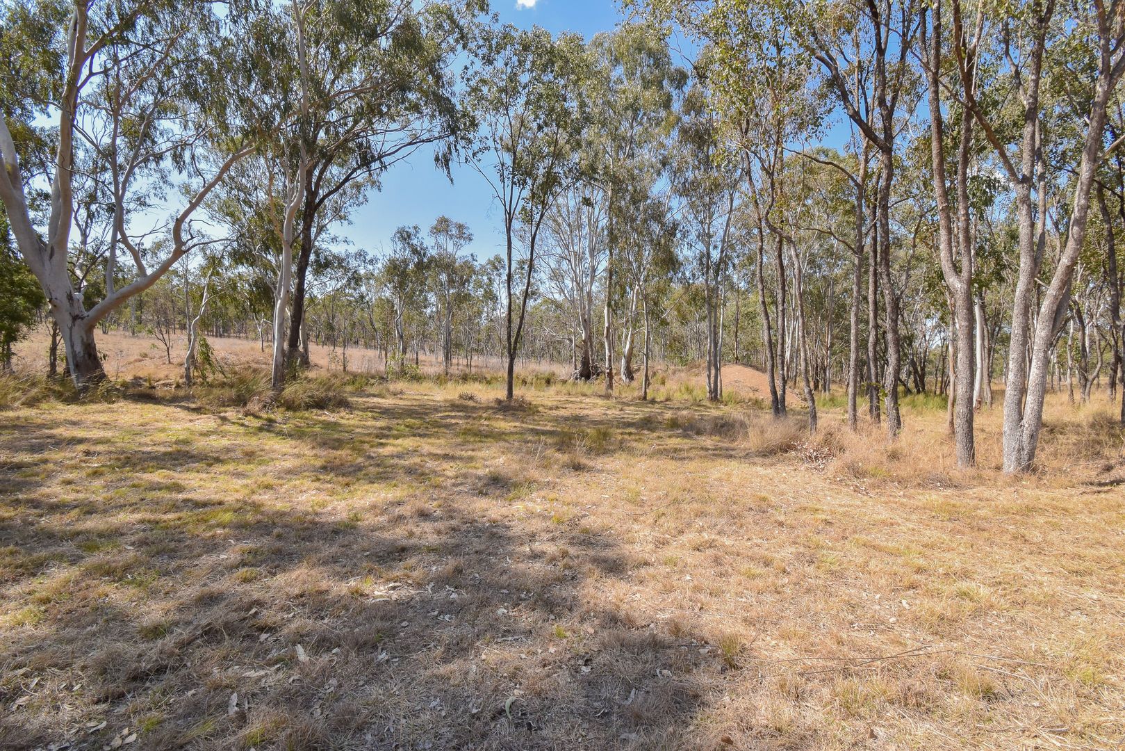 Lot 49 Blacksmith Lane, Pratten QLD 4370, Image 2