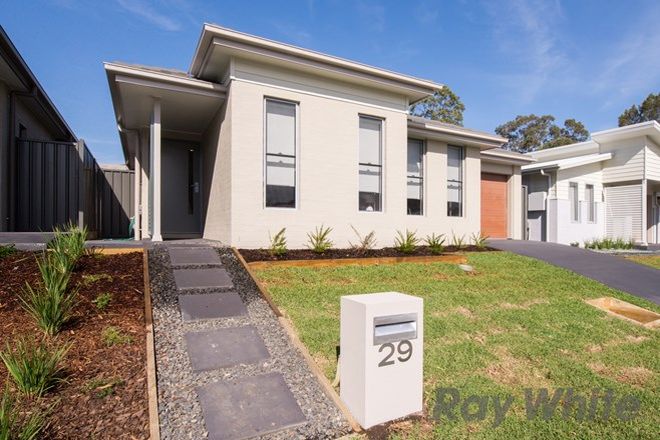Picture of 29 Corymbia Street, CROUDACE BAY NSW 2280