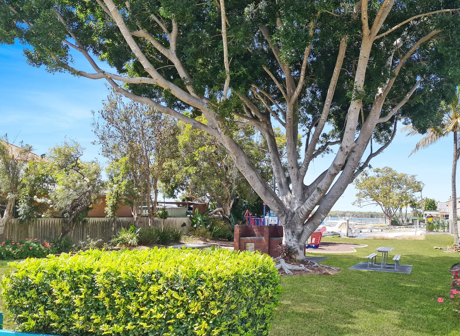 Image 10