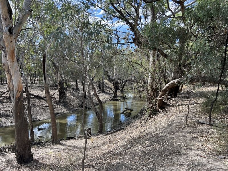 841 Aratula South Road, Deniliquin NSW 2710, Image 0