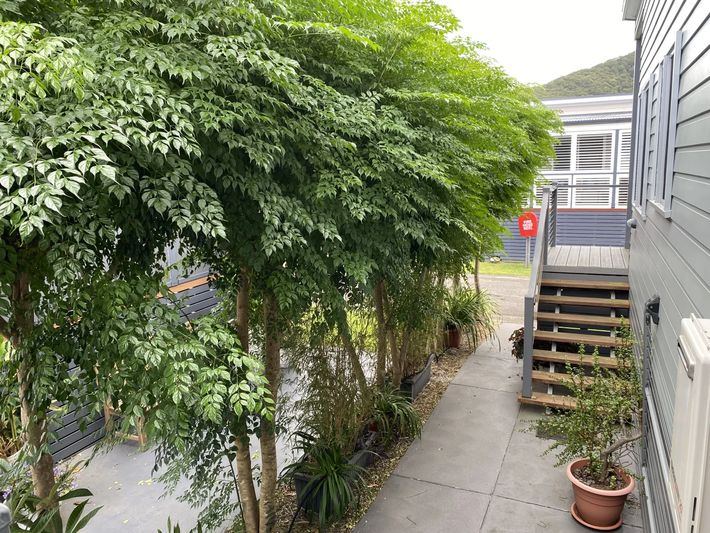 Image 10