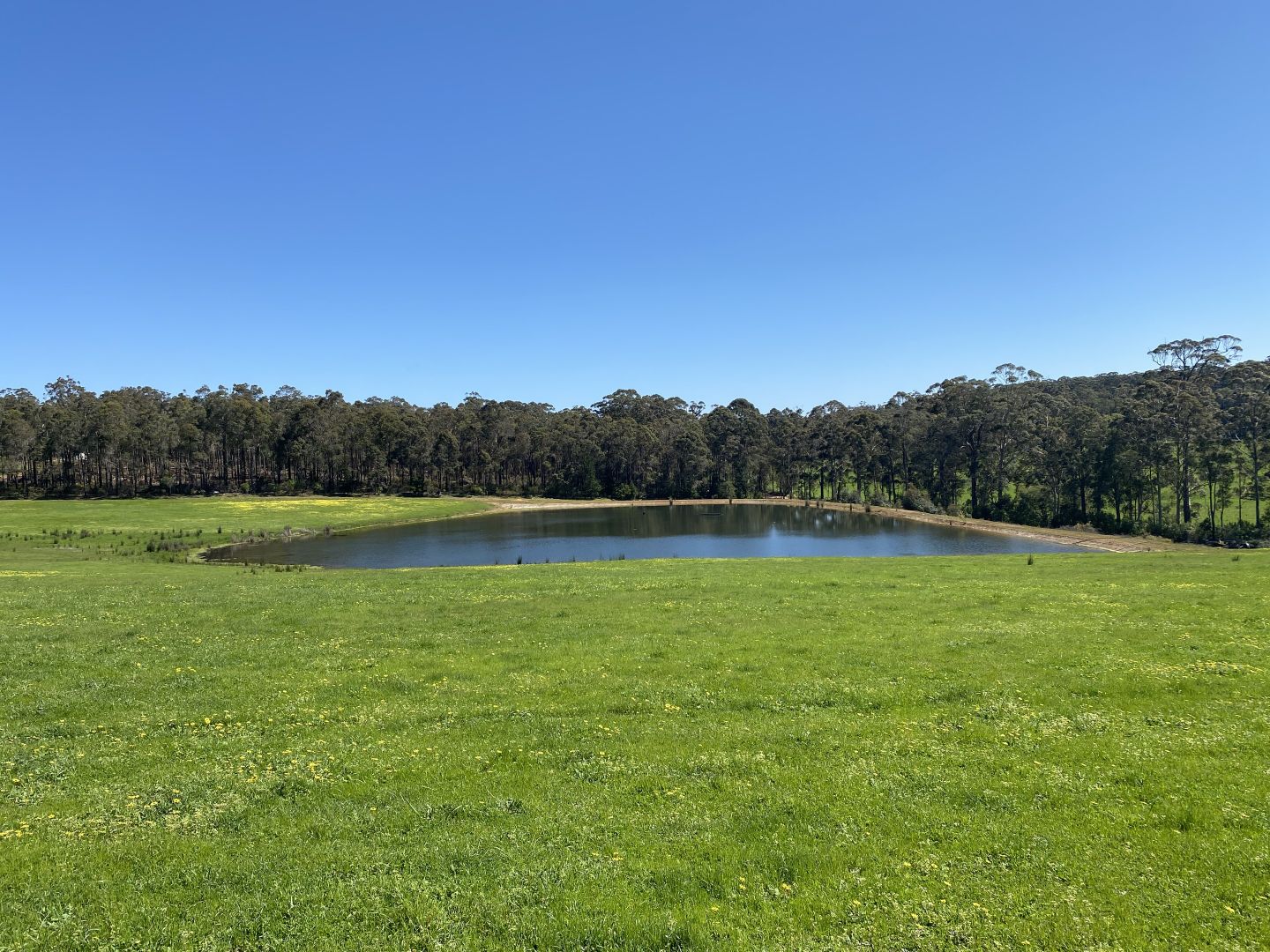 Lot 10838 Piano Gully Road (Middlesex), Manjimup WA 6258, Image 1