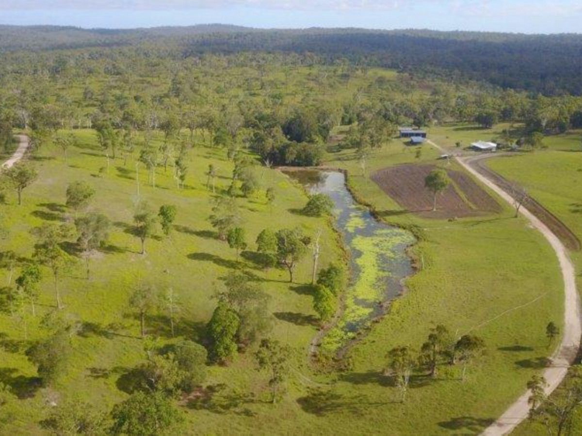 1625 Mount Fox Road, Mount Fox QLD 4850 House For Sale Domain