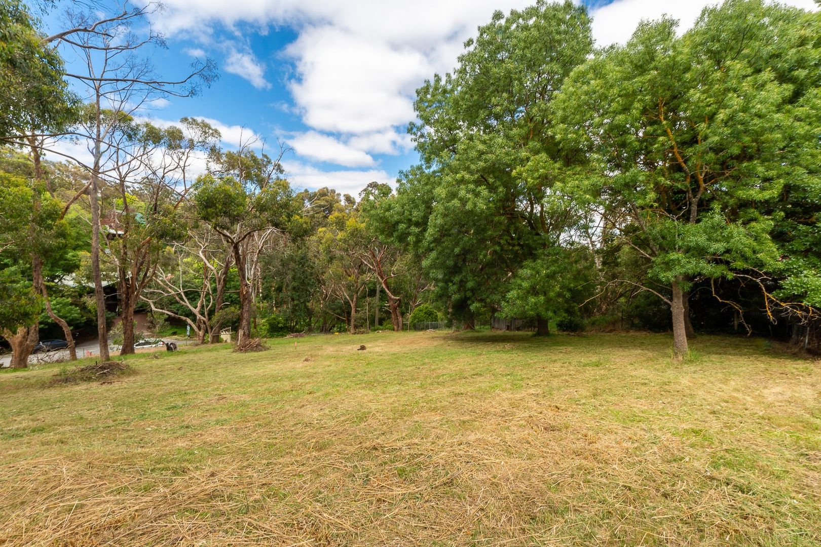 Lot 391 Fern Hill Road, Bridgewater SA 5155, Image 2