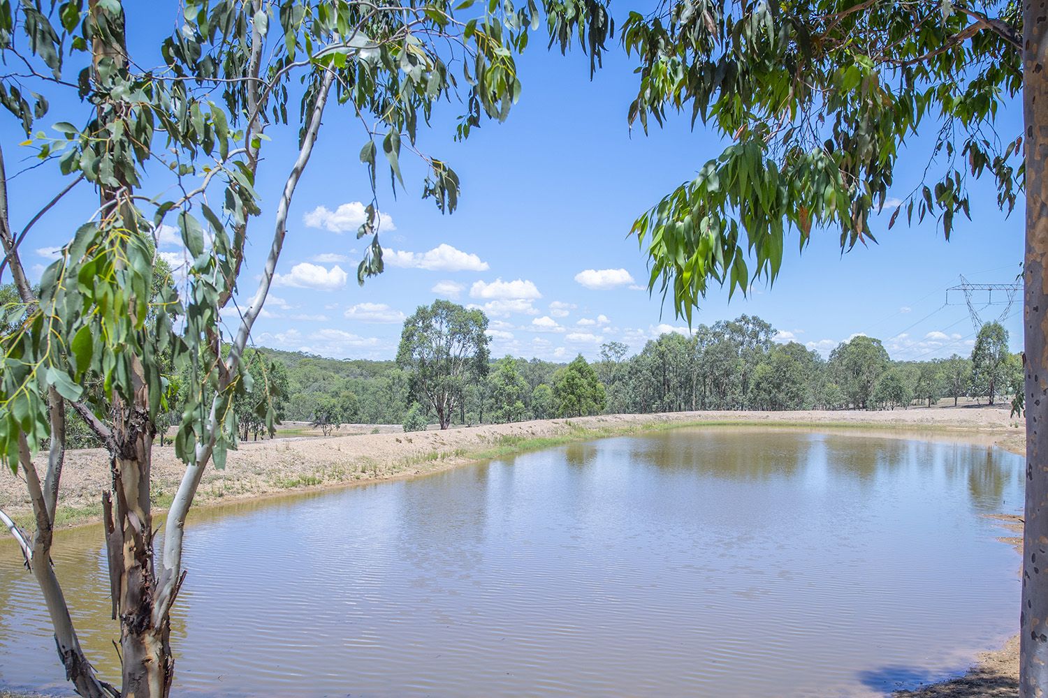 190 Woodland Ridge Road, Muscle Creek NSW 2333, Image 0