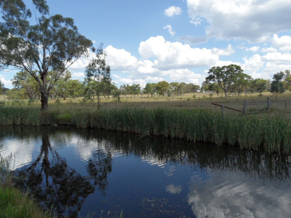 Lot 1 Crystal Mountain Rd, Dalveen QLD 4374, Image 2