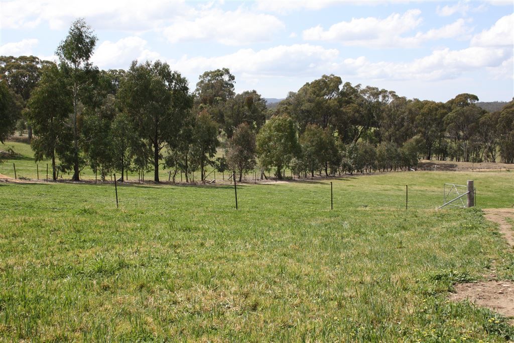 4405 Bylong Valley Way Rylstone, Rylstone NSW 2849, Image 2