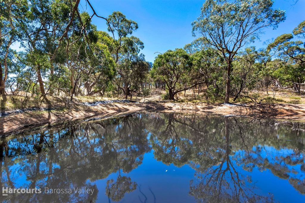 597 Rifle Range Road, Flaxman Valley SA 5235, Image 2