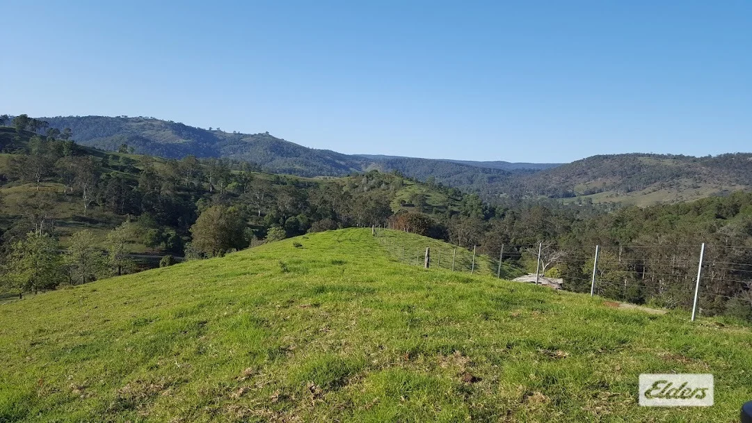 Image 10