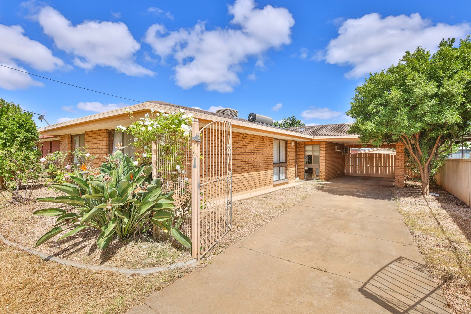 19 Coleman Avenue, Mildura VIC 3500 Domain