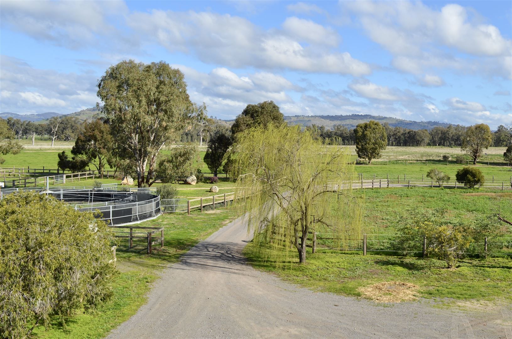 119 Balmattum Church Road, Euroa VIC 3666, Image 1