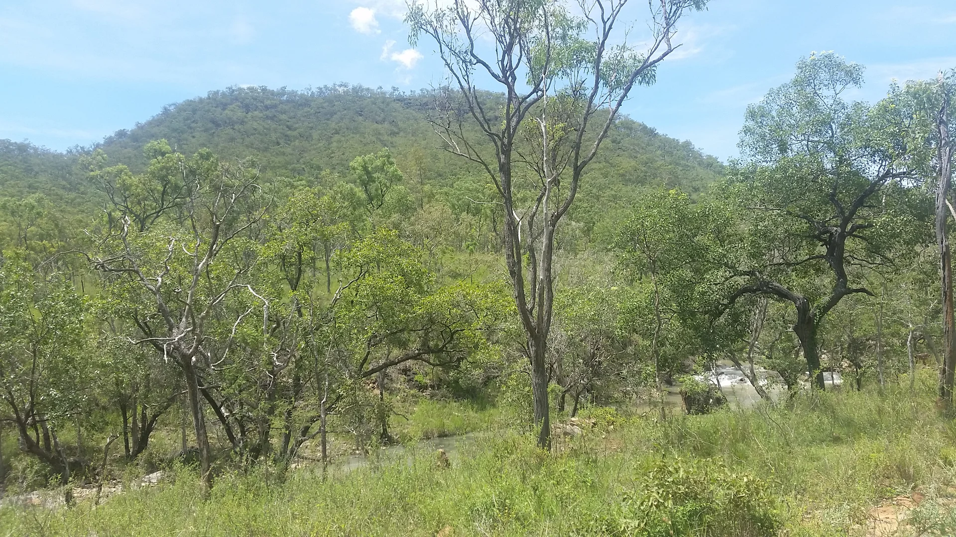 Image 11