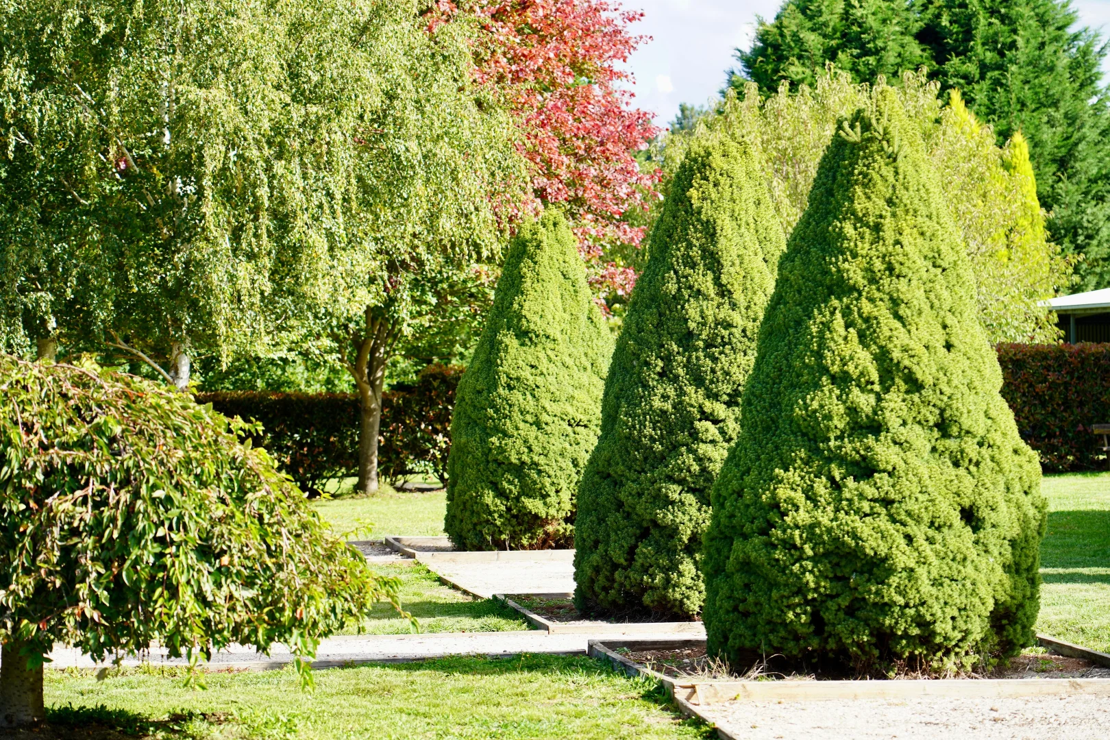 Additional image 3 of 383 Mozart Road, Mozart NSW 2787