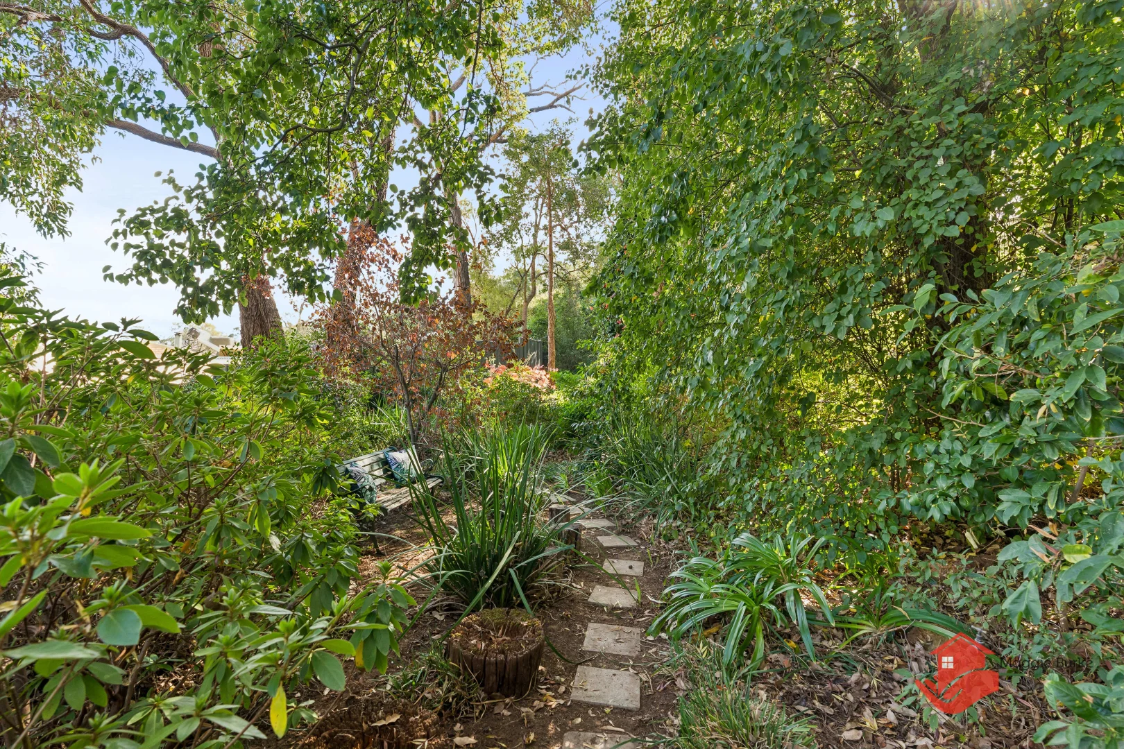 Image 15