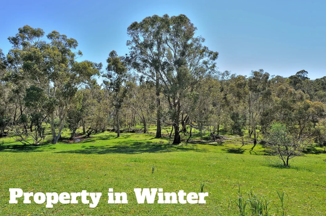 Additional image 16 of 7000 Werribee Road, Wooroloo WA 6558