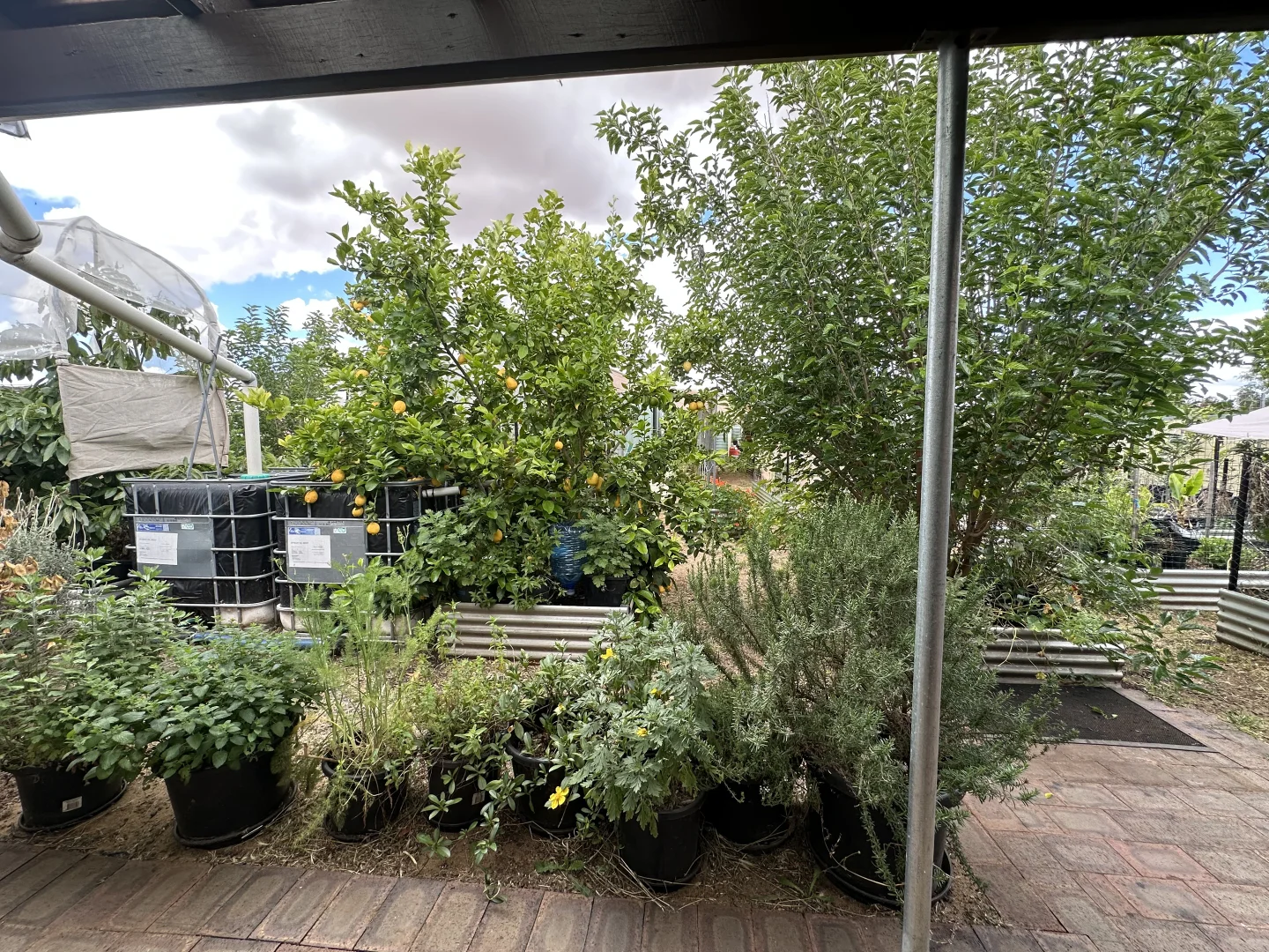Image 21