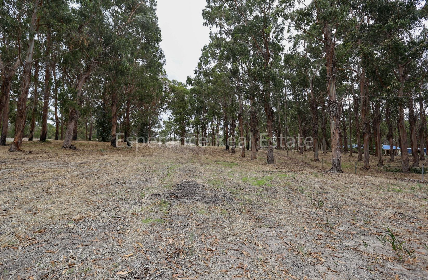 Lot 12 Eleven Mile Beach Road, Pink Lake WA 6450, Image 1