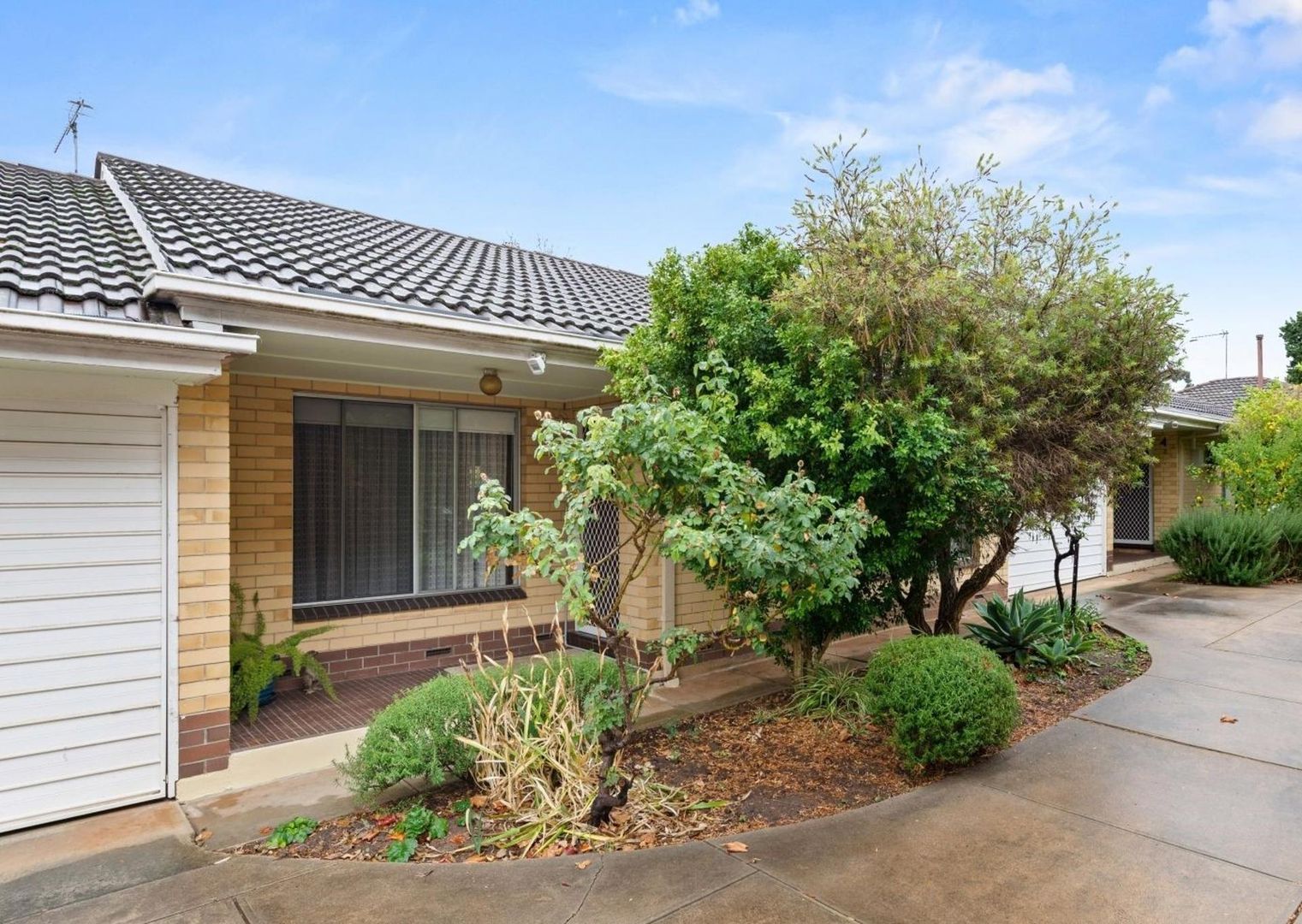 2/7 Birdwood Street, Netherby SA 5062 - Apartment For Rent | Domain