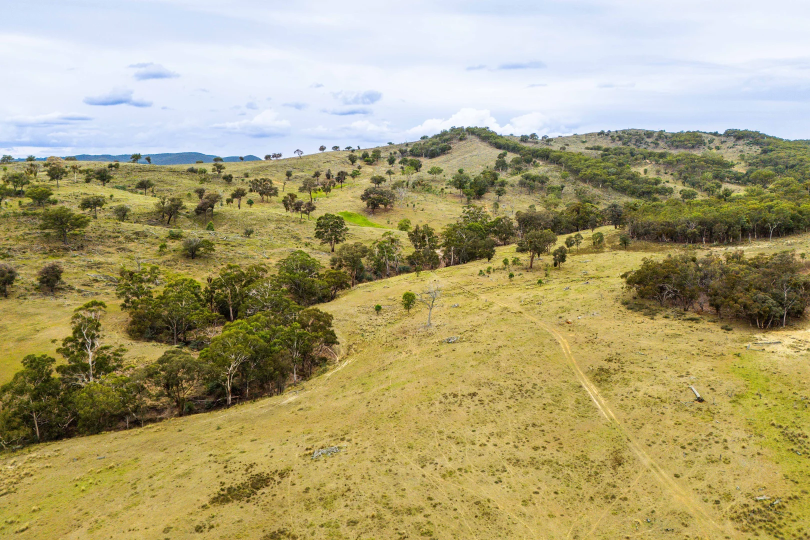 Additional image 14 of 678 Dry Creek Road, Lewis Ponds NSW 2800