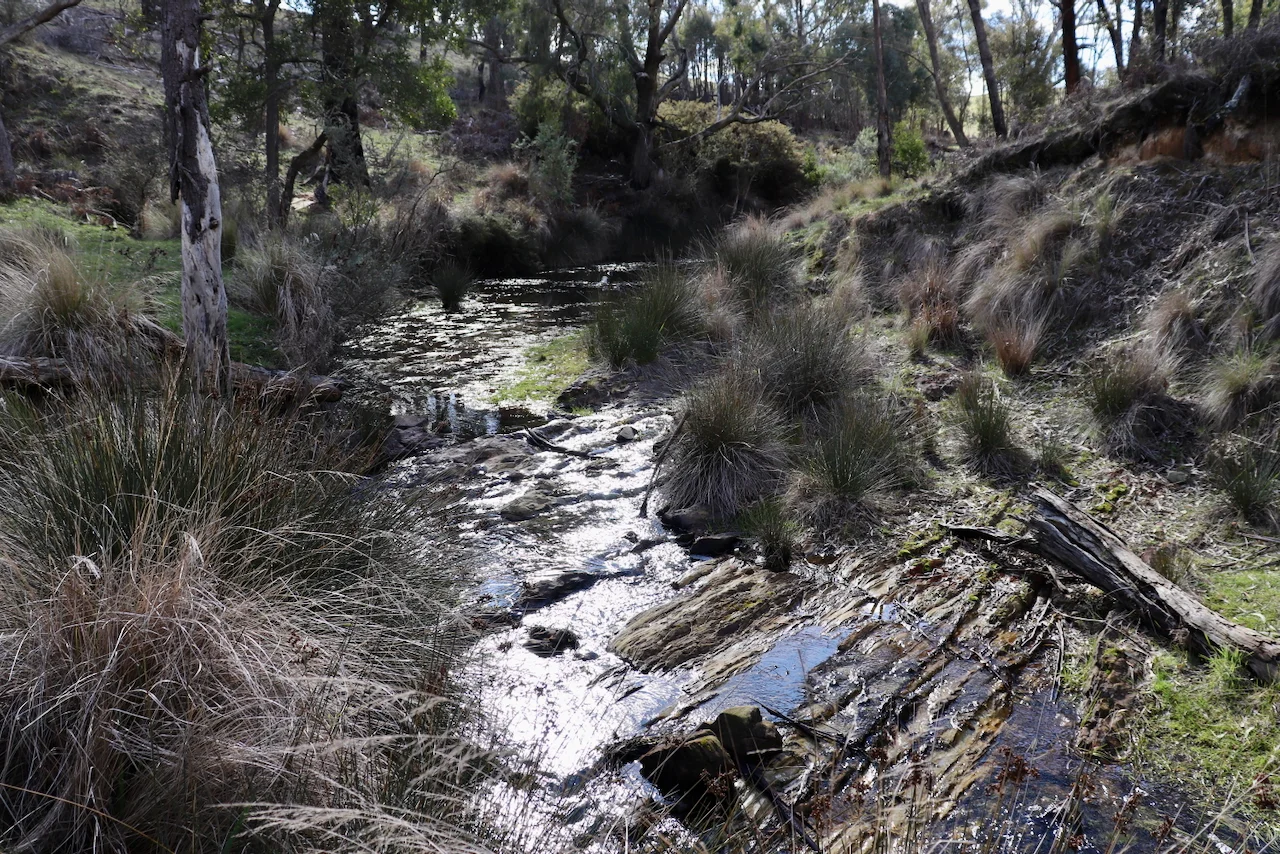 Image 8