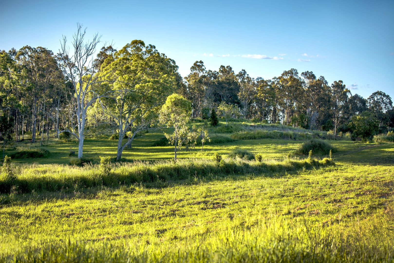 121 Robson Road, Boonah QLD 4310, Image 1