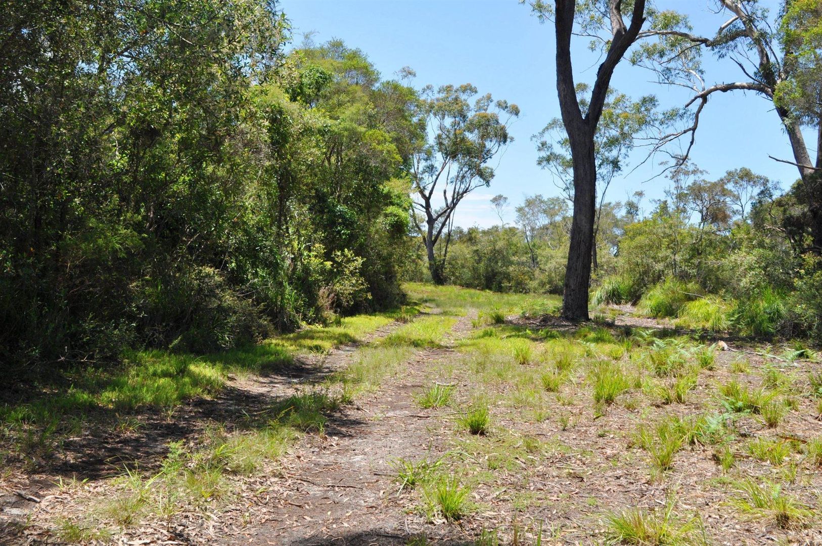 Lot 171 West Street, Woombah NSW 2469, Image 2