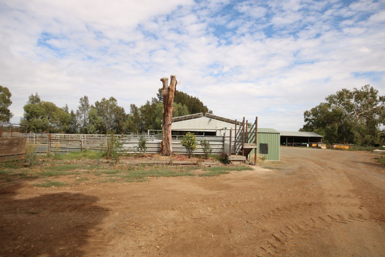 441 Johnson Road, Lockington VIC 3563 Specialist Farm for Sale