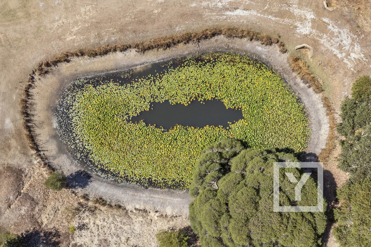 Additional image 34 of 18 Quedjinup Drive, Quedjinup WA 6281