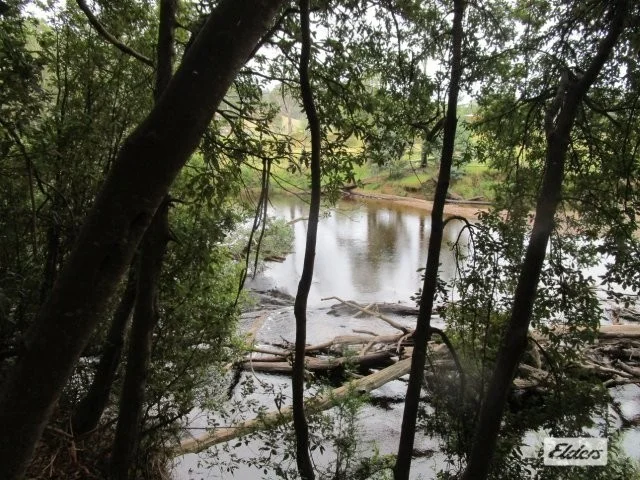 Image 13