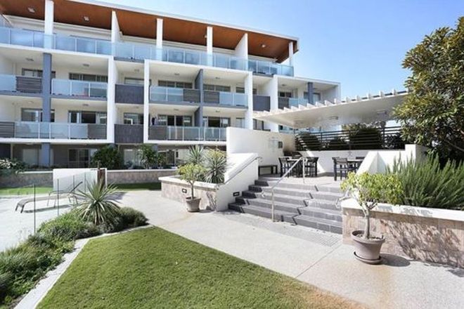 969 Rental Properties In Dutton Park Qld 4102 Domain