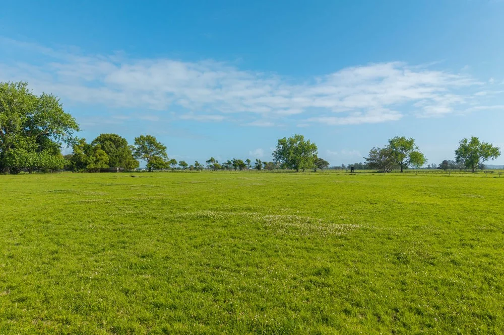 Additional image 29 of 54 Back Creek Road, Kinchela NSW 2440