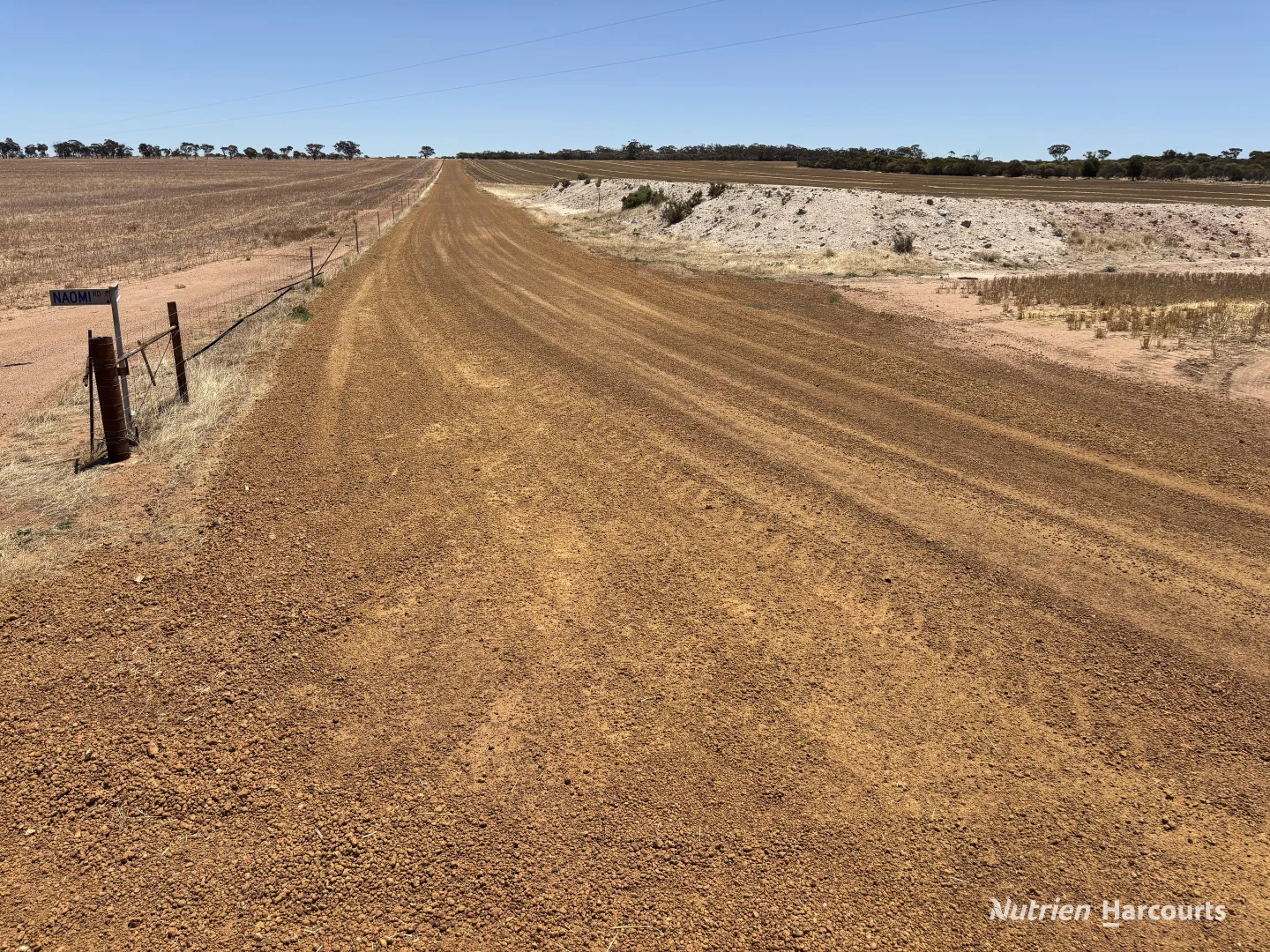 Image 9