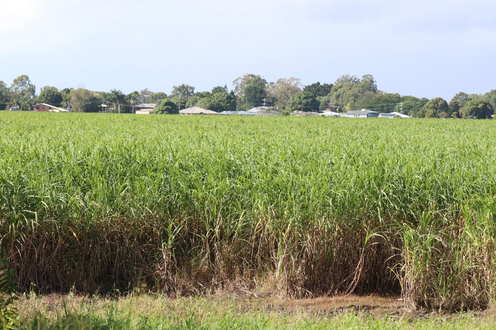 76 Queen Street, Bundaberg North QLD 4670, Image 0