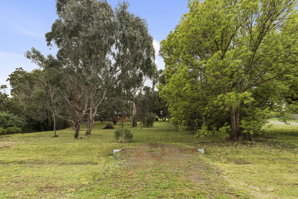 56-58 Strachan Street, Birregurra VIC 3242, Image 2