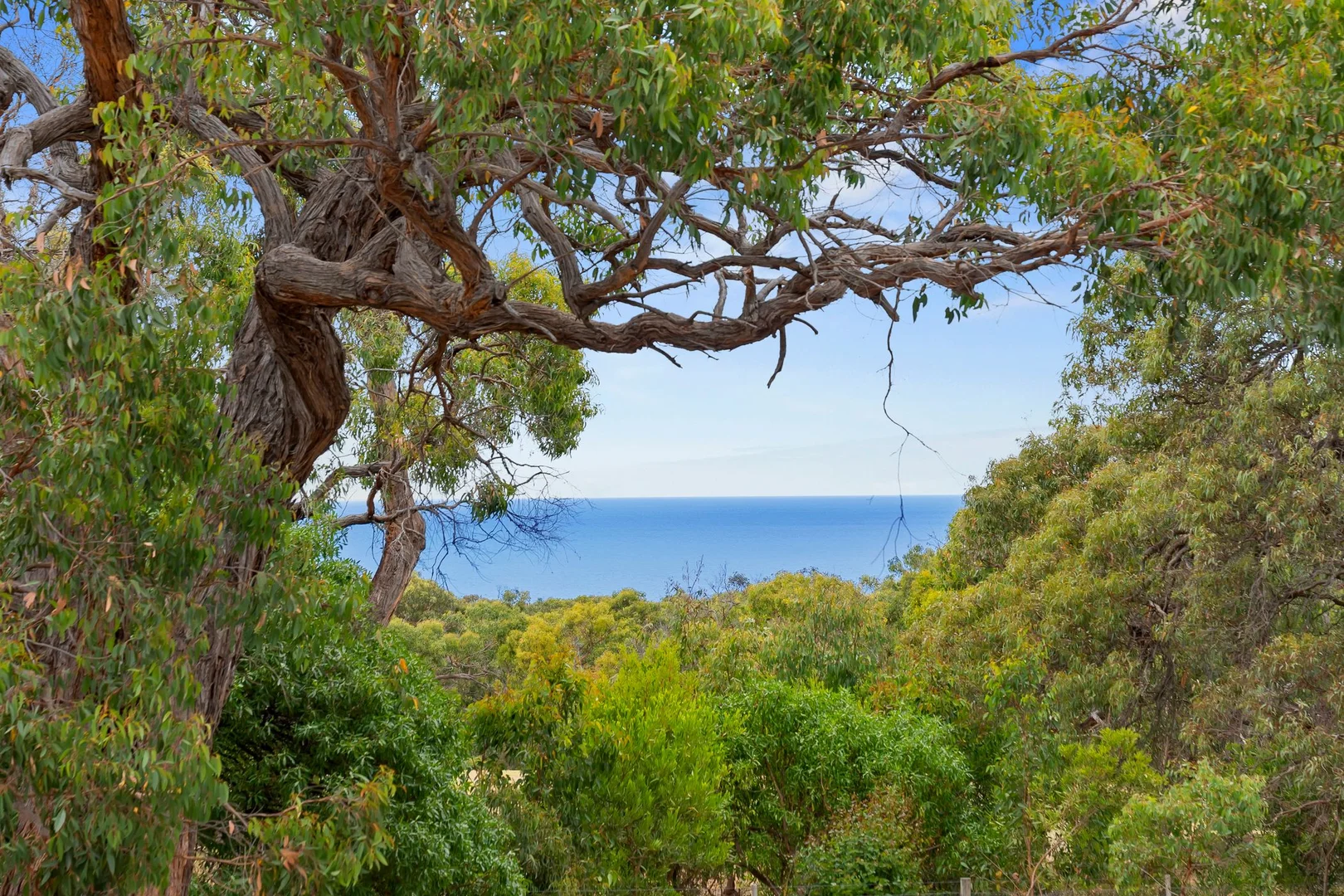 Additional image 15 of 1005 Great Ocean Road, Aireys Inlet VIC 3231
