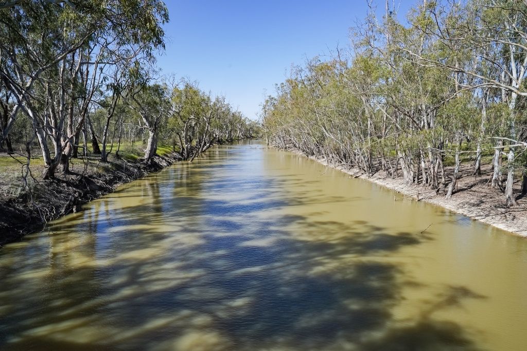 3163 Caldwell Line Road, Deniliquin NSW 2710, Image 0