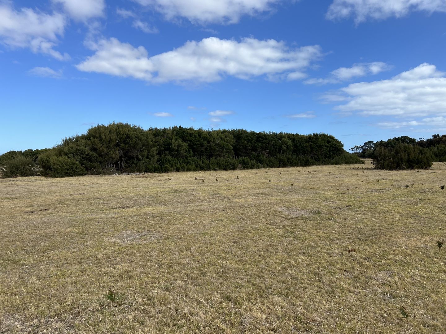 Lot 1 Palana Road, Whitemark TAS 7255, Image 2