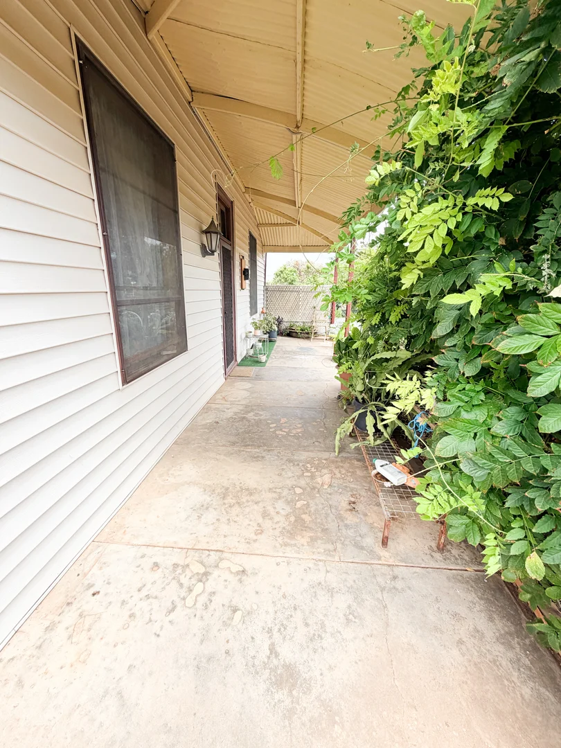 Image 15