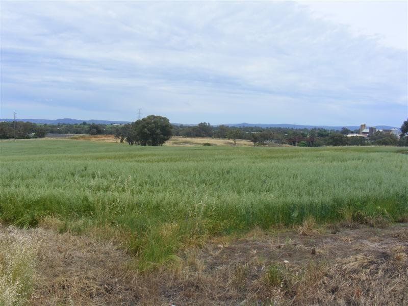 17 Taragala Street, Cowra NSW 2794, Image 0