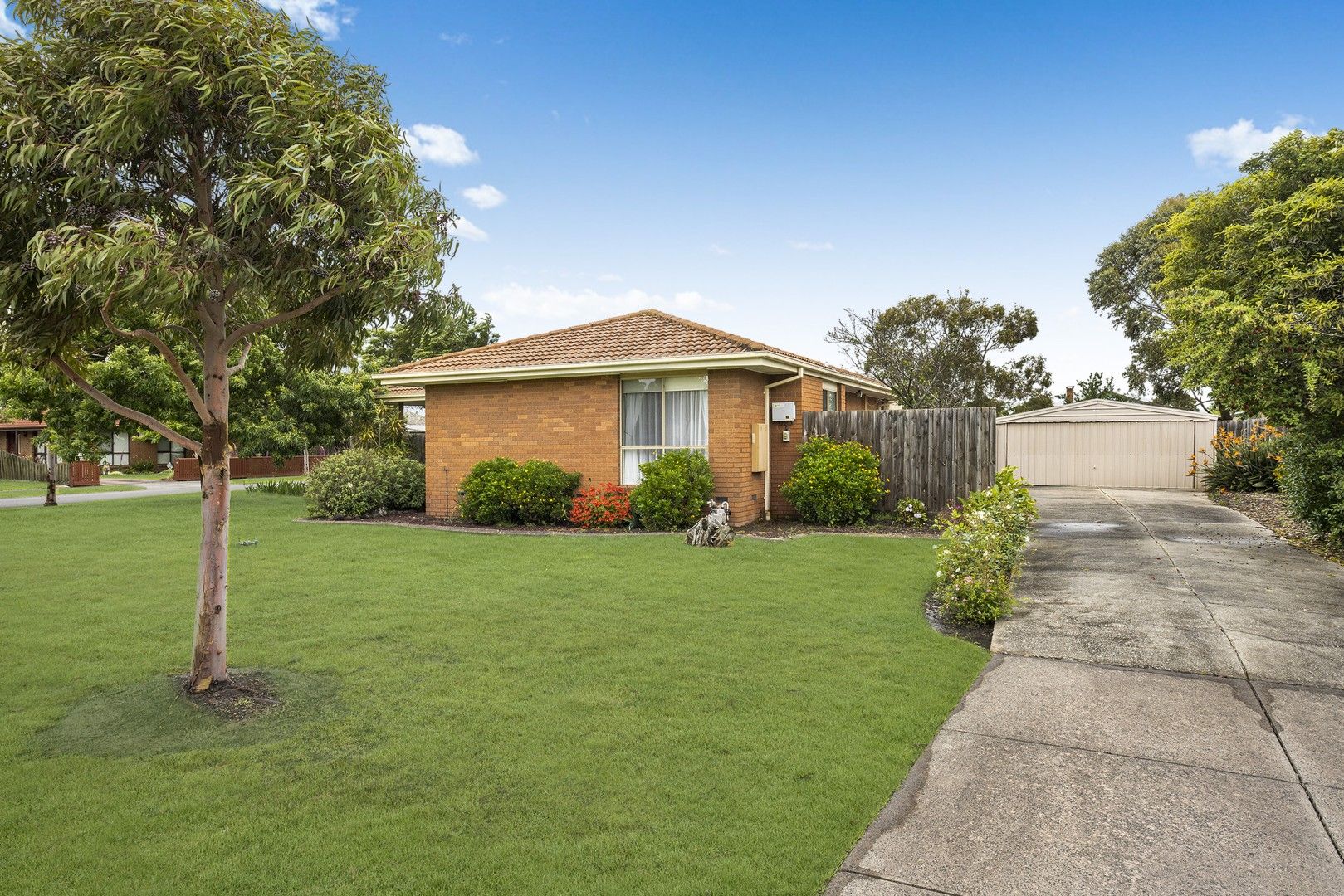 8 Ti Tree Lane, Koo Wee Rup VIC 3981, Image 0