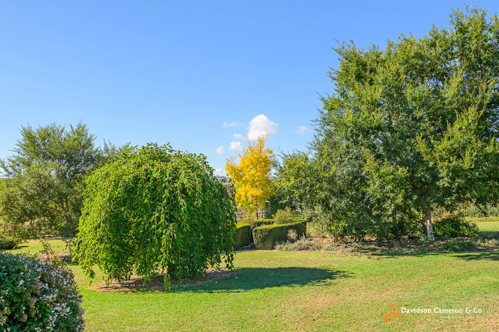 Additional image 19 of "Cantali" 126 Aberbaldie Road, Walcha NSW 2354