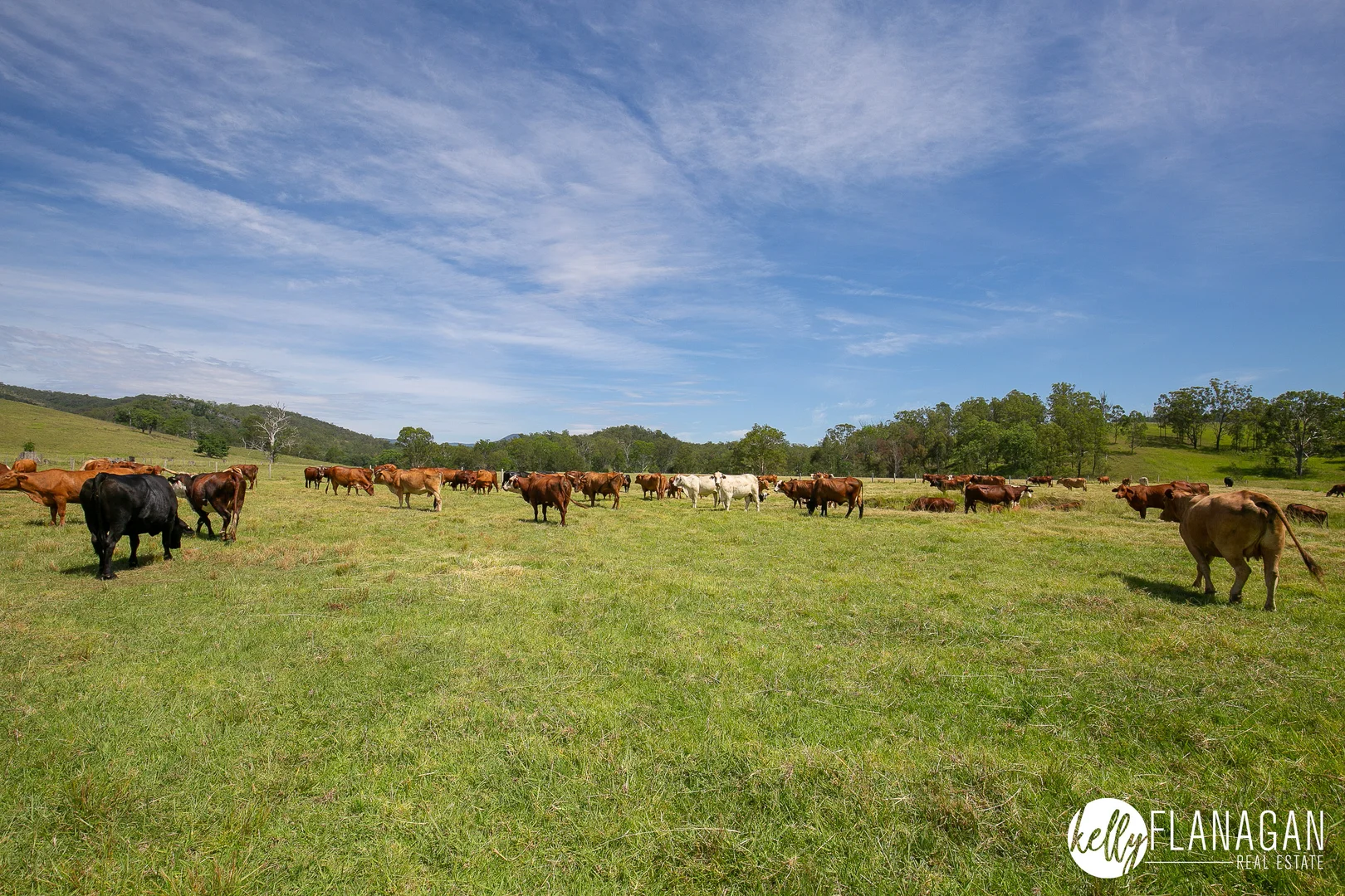 Additional image 13 of 2953 Willi Willi Road, Moparrabah NSW 2440
