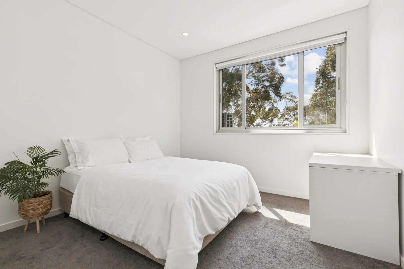 Revesby Heights photo 7