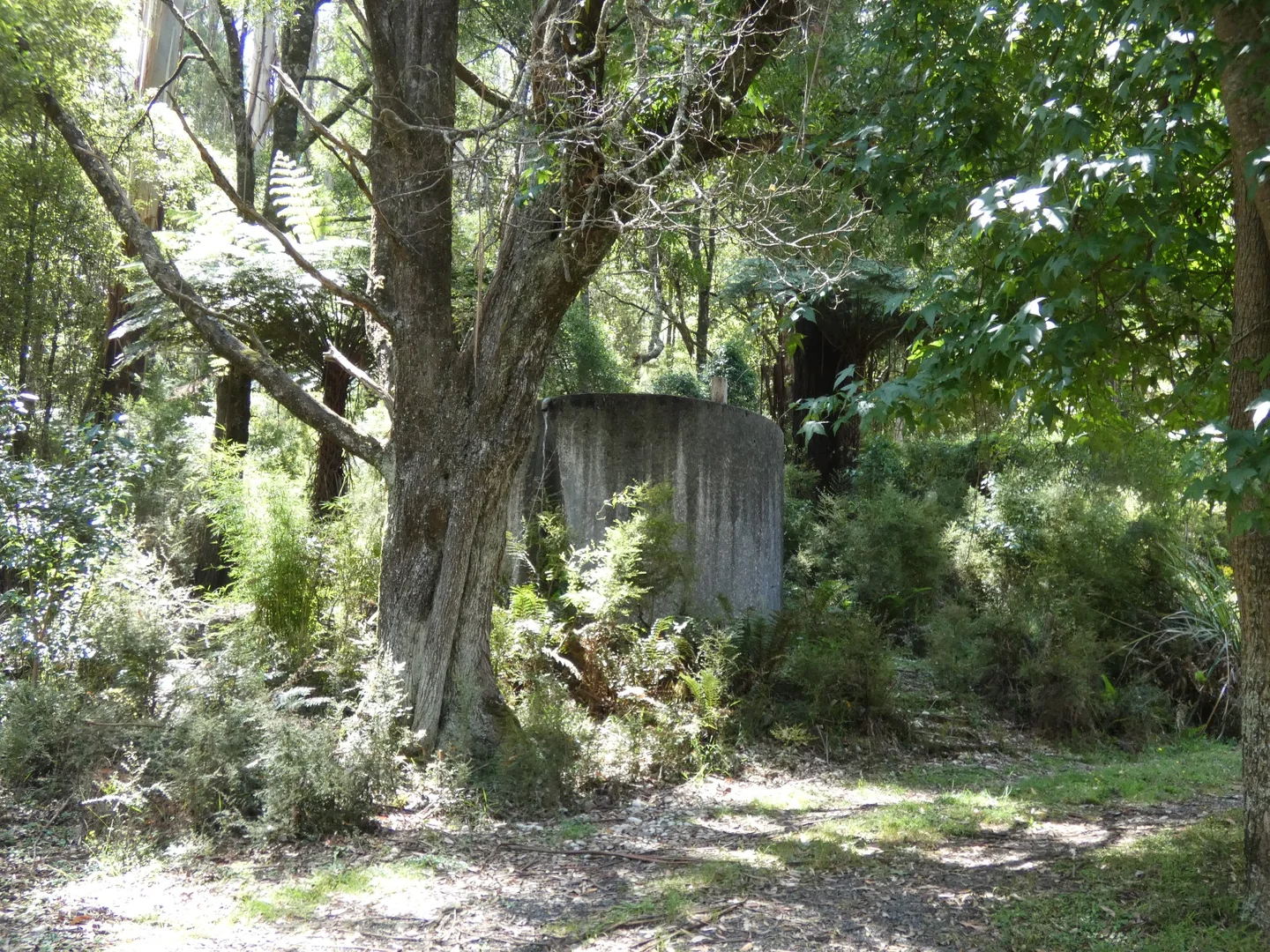 Image 4