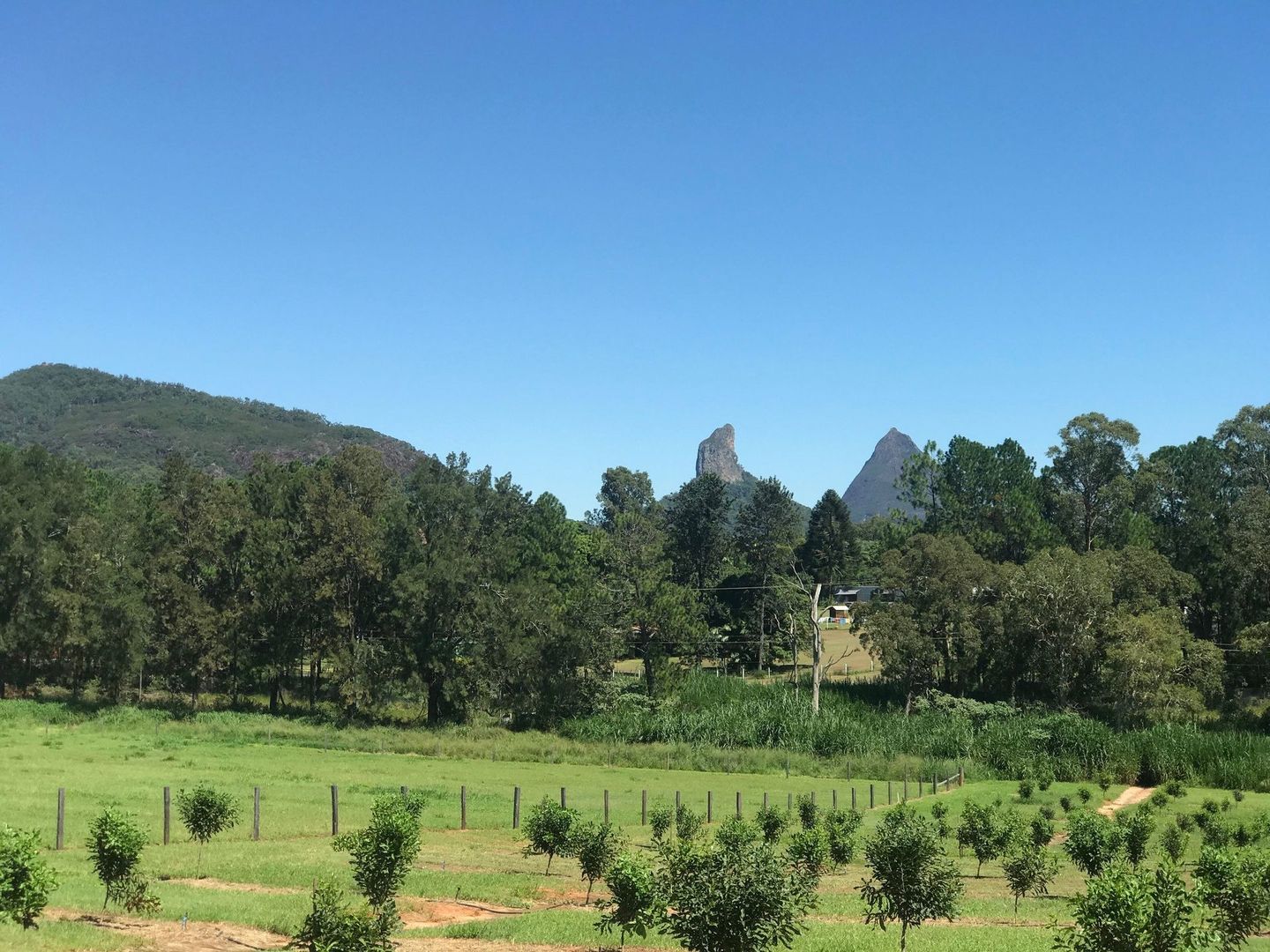 75 Youngs Rd, Glass House Mountains QLD 4518, Image 1