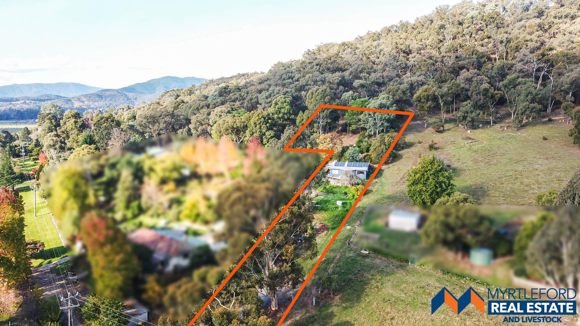 323 Buffalo River Road, Myrtleford VIC 3737, Image 0