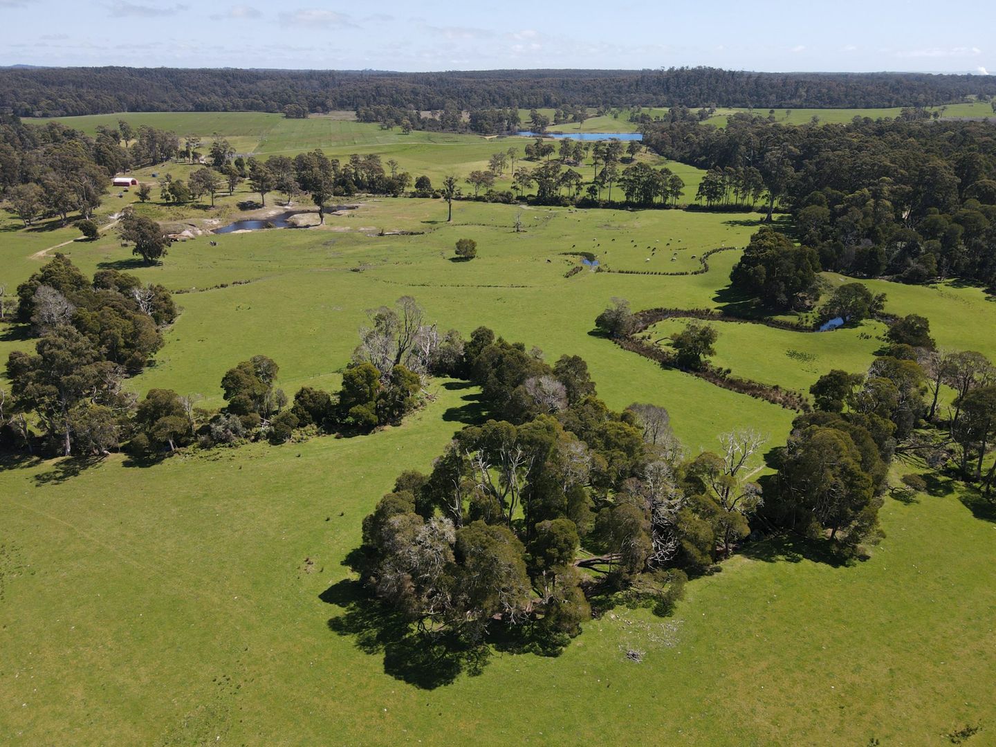 Lot 2 Coopers Road, Rocky Cape TAS 7321, Image 2