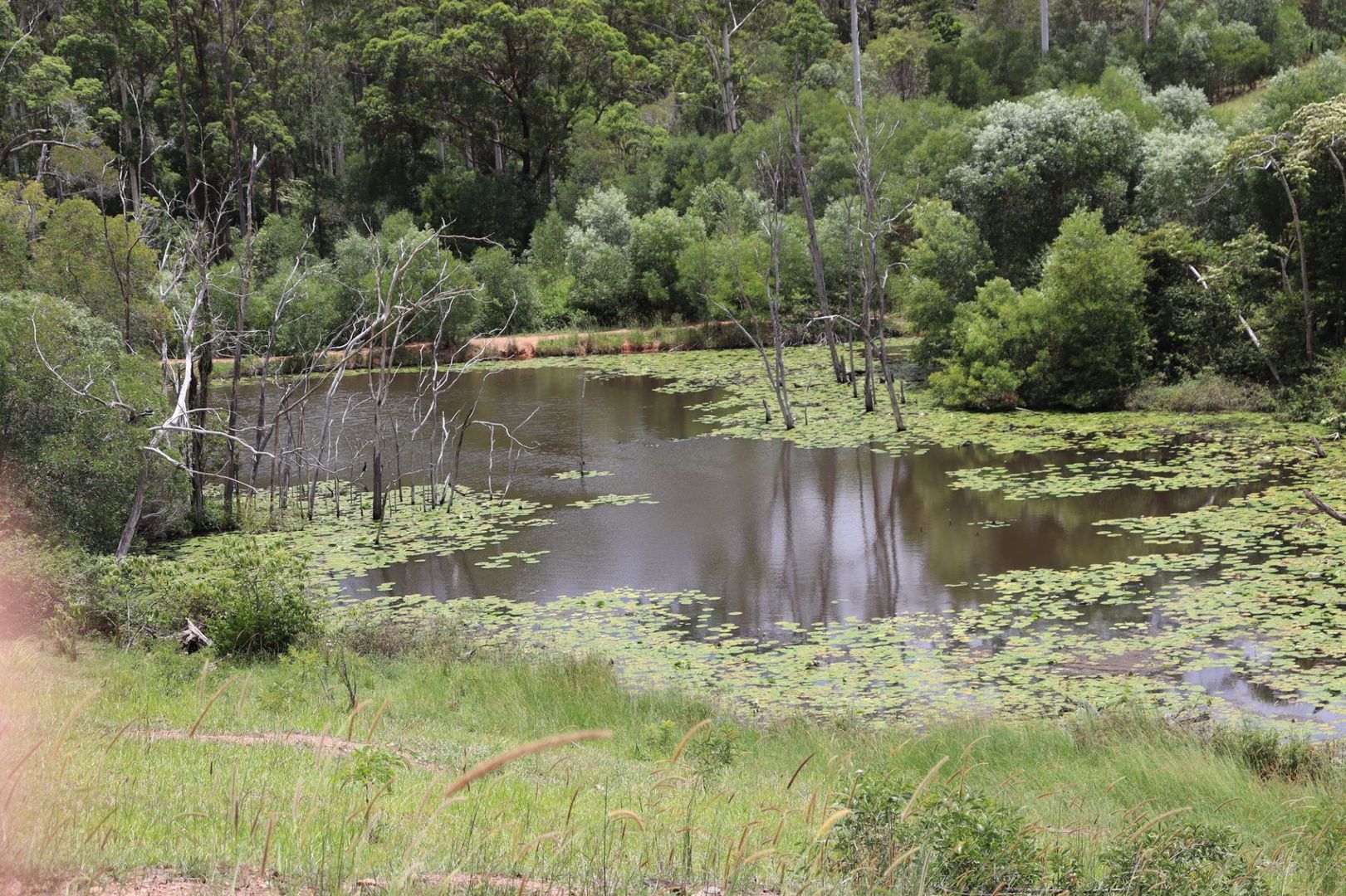 North Deep Creek QLD 4570, Image 2